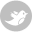 facebook-icon