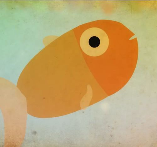 Dead Goldfish