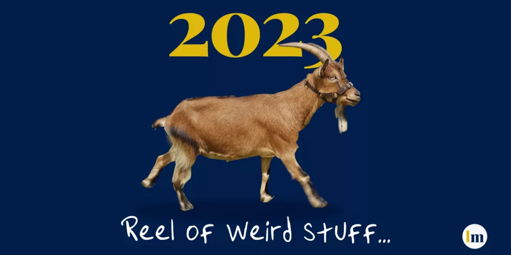 Text is 2023 reel of weird stuff... There's a goat in the middle of the words.